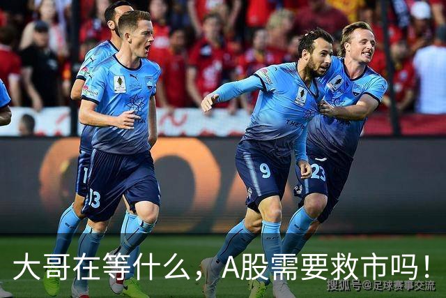 大哥在等什么，A股需要救市吗！