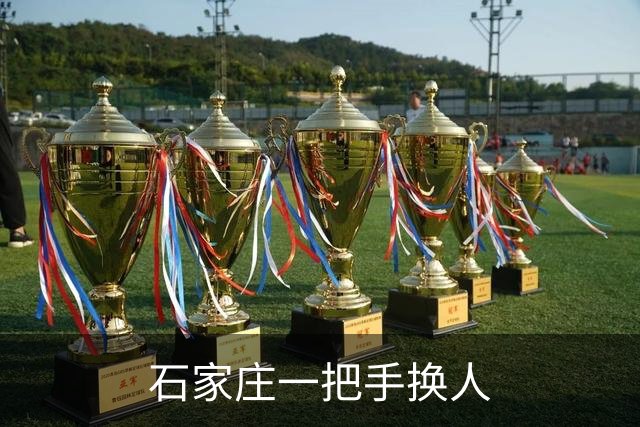 石家庄一把手换人