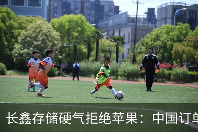 长鑫存储硬气拒绝苹果：中国订单都接不完，不伺候